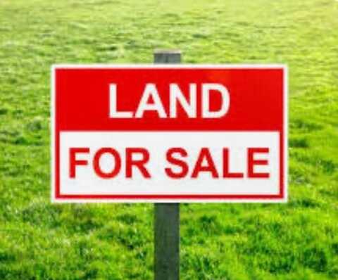 0 Vienna Church Road, Valdosta, GA 31605