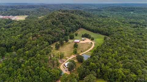 11529 Highway 69, Oakman, AL 35579