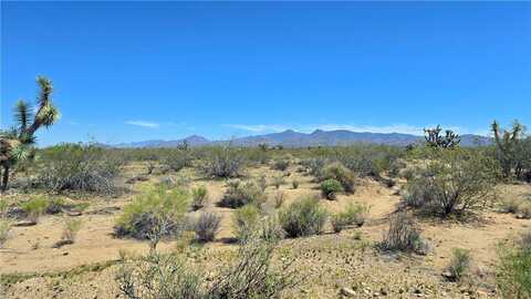 287 S Diamondback Road, Yucca, AZ 86438