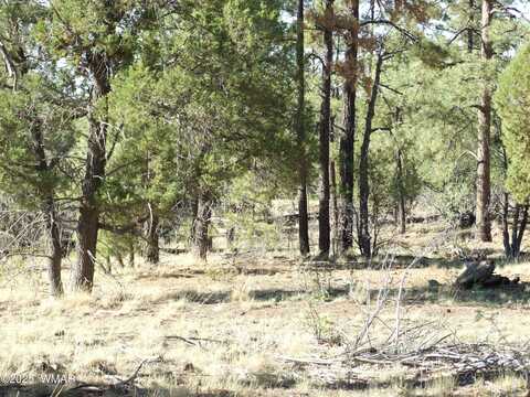 Parcel C Lamb Dr, Pinedale, AZ 85934