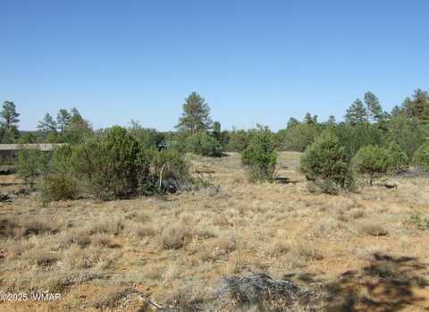 Parcel A Lamb Dr, Pinedale, AZ 85934