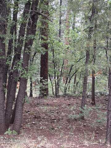 3887 E Bermuda Circle, Pinetop, AZ 85935