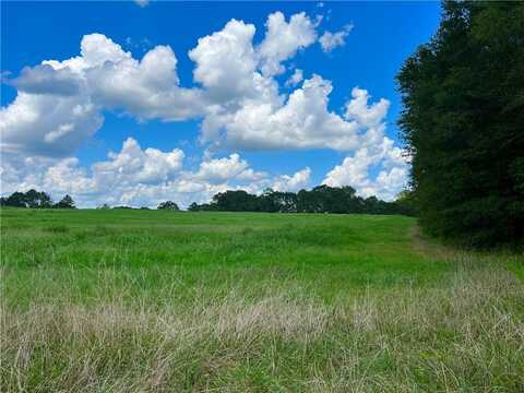 3824 DOBBINS BRIDGE Road, Anderson, SC 29626
