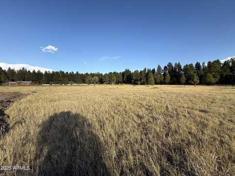 213 HIGH POINT Lane, Mormon Lake, AZ 86038