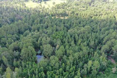 3443 W FM 1013, Kirbyville, TX 75956