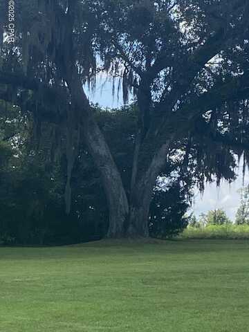 1386 Parker Road, Grand Ridge, FL 32442