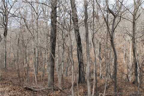 Tim Road unit: 1903, Edwards, MO 65326