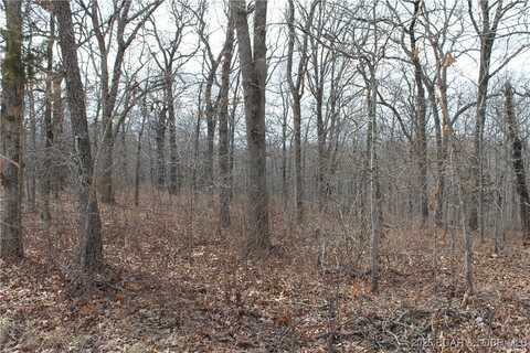 Anne Drive unit: 1786, Edwards, MO 65326