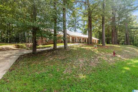 2305 WILDWOOD DRIVE, JASPER, AL 35501