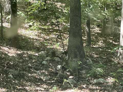 141 Duncan Ln, Poughkeepsie, AR 72569