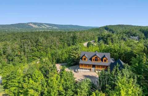 6755 PLEASANTVIEW, HARBOR SPRINGS, MI 49740