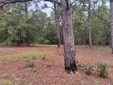 1100 Lassiter Jacobs Road, Eastover, SC 29044