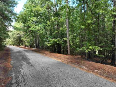 155A Torrey Pines, Chapin, SC 29036