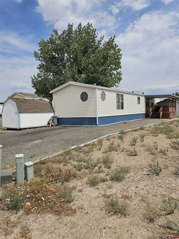 19819 Joy Road, Austin, CO 81410