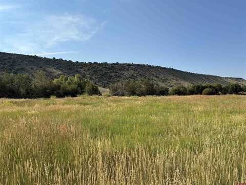 Lot 2 Block 2, La Jara, CO 81140