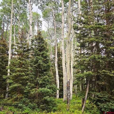 390 Rim Road, Cimarron, CO 81220