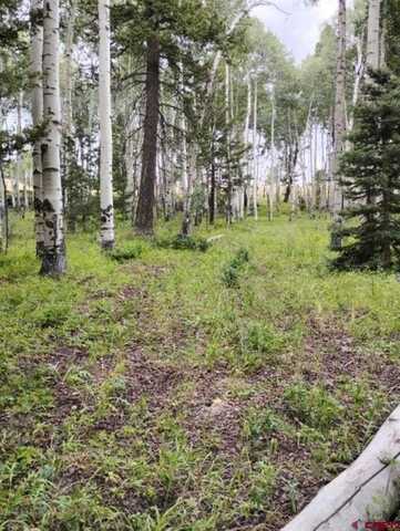 770 Ponderosa Way, Cimarron, CO 81220