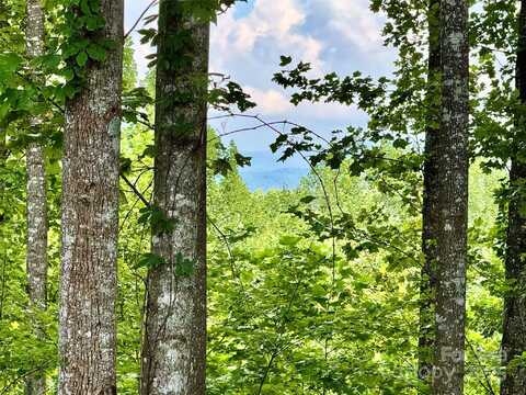 2.01 acres, Lot 971 Soaring Top Lane unit: 971, Lenoir, NC 28645