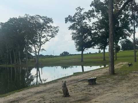 0000 Hwy 103, Slocomb, AL 36375