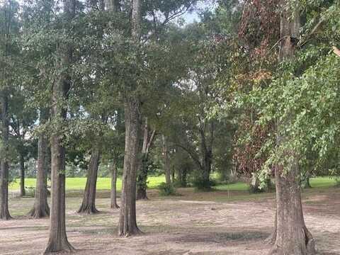 0000 Hwy 103, Slocomb, AL 36375