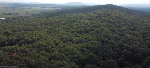 0001 Randolph RD, Ratcliff, AR 72951