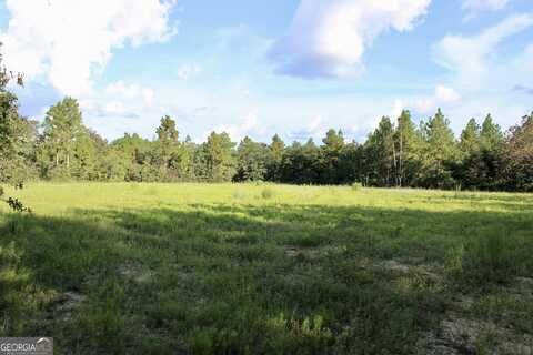 467 McCall, Butler, GA 31006