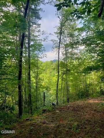 4830 White Pine Way, Sevierville, TN 37876