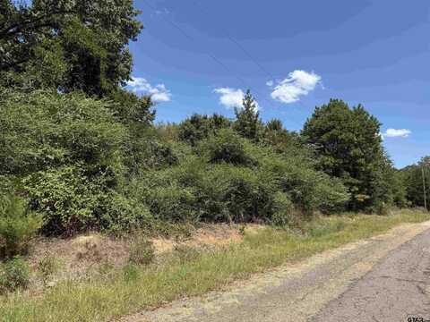 TBD CR 1660, Mount Pleasant, TX 75455