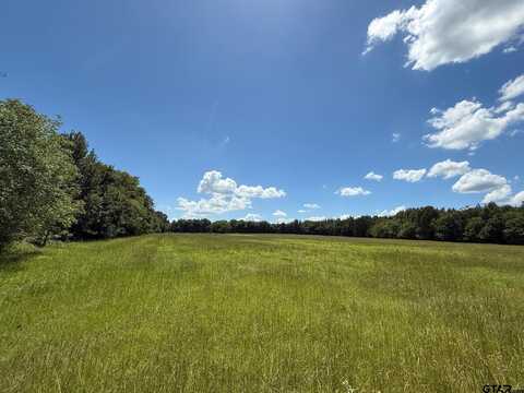 TBD CR 1670, Mount Pleasant, TX 75455
