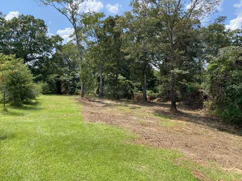 9.97 MOL Leaf River Church Rd., Collins, MS 39428