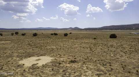 00 N Arroyo Dr, Seligman, AZ 86337