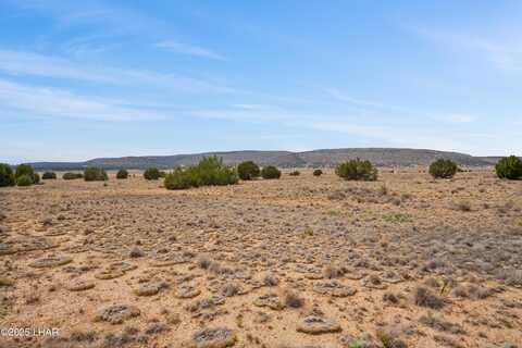 0 N Arroyo Dr, Seligman, AZ 86337