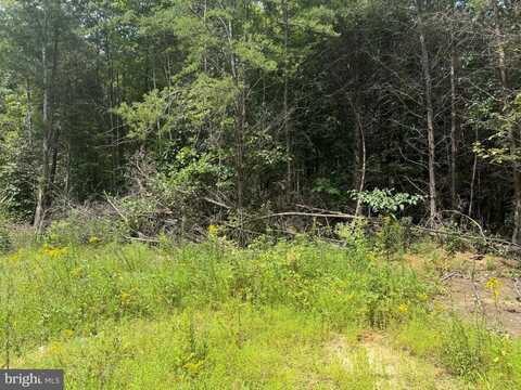 LOT 3 BUCKNER RD, MINERAL, VA 23117