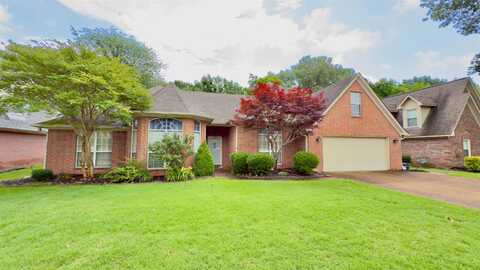 1082 SUGAR, Collierville, TN 38017