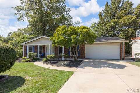 13010 Ferntrails Lane, Creve Coeur, MO 63141