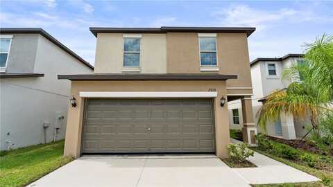 7231 SPRING SNOWFLAKE AVENUE, TAMPA, FL 33619