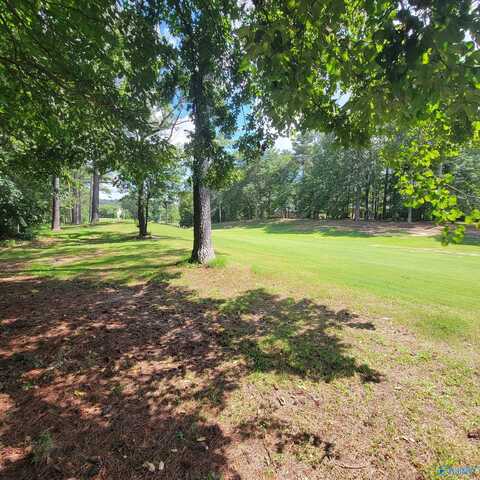 Lot 106 & 107 Creekwood Drive, Union Grove, AL 35175