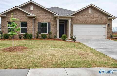 102 Duskwood Drive, Madison, AL 35757