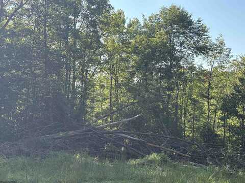 3840 Canaan Road, Rock Cave, WV 26234
