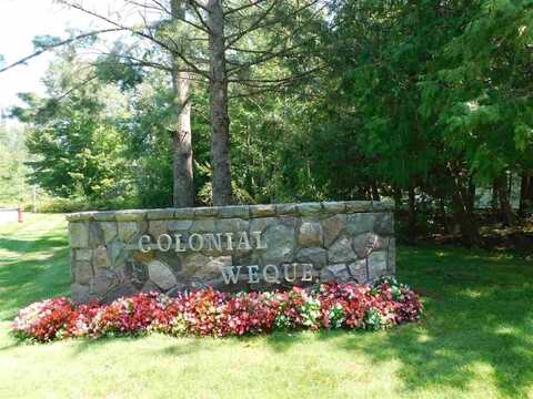 256 Artesian Way, Harbor Springs, MI 49740
