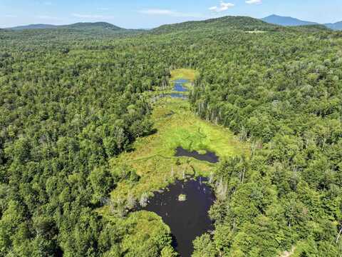 LOT 4 Lincoln Road, Ripton, VT 05766