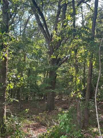 35 PR 43955, Blossom, TX 75416