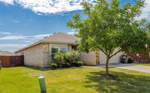 2029 Shady Glen Trail, Princeton, TX 75407