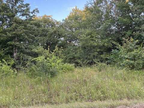 133 Pocahontas Street, Mabank, TX 75156