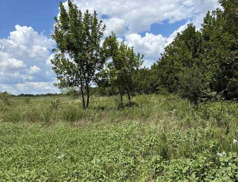 TBD Turnbull Rd, Caddo, OK 74729