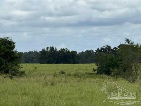 5880 S Hwy 99, Mc David, FL 32568