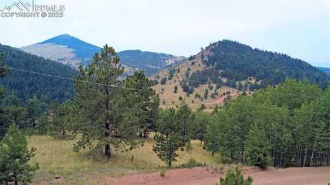 726 Copper Mountain Drive, Cripple Creek, CO 80813