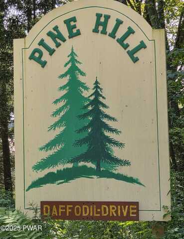 Lot 21 Daffodil Drive, Newfoundland, PA 18445