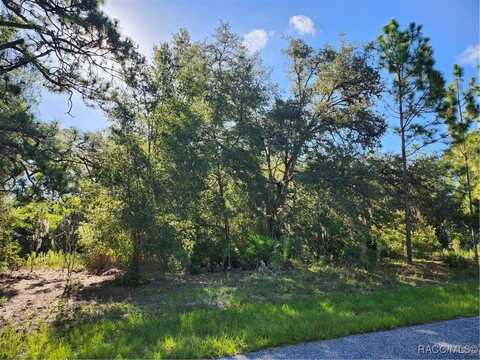 6373 N Earlshire Terrace, Citrus Springs, FL 34434