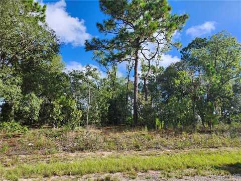 6731 N Darlington Drive, Dunnellon, FL 34434